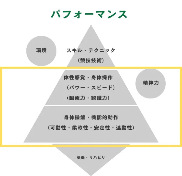 パフォーマンスの階層：スキル・テクニック、体性感覚・身体操作、身体機能・機能的動作、受傷・リハビリ